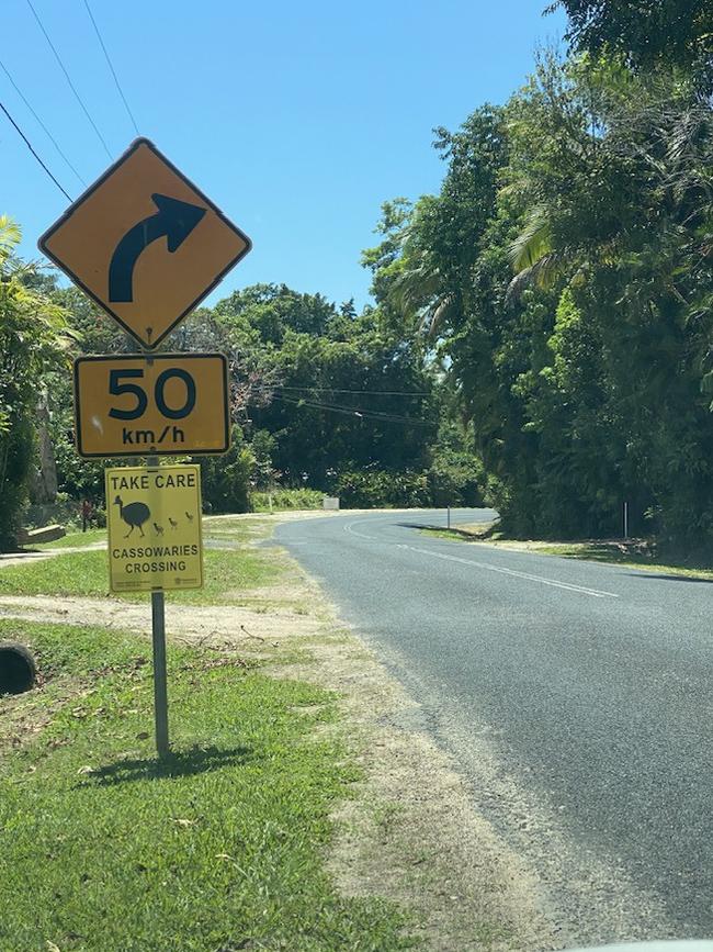 Bingil Bay Road bend is a common crossing zone for a family of cassowaries at risk of being injured or killed by turning traffic, the LAARMA project hopes to change that. Picture: Facebook/ Liz Gallie