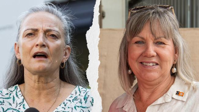 Labor NT Environment, Climate Change and Water Security Minister Kate Worden and CLP opposition Environment spokeswoman Jo Hersey.