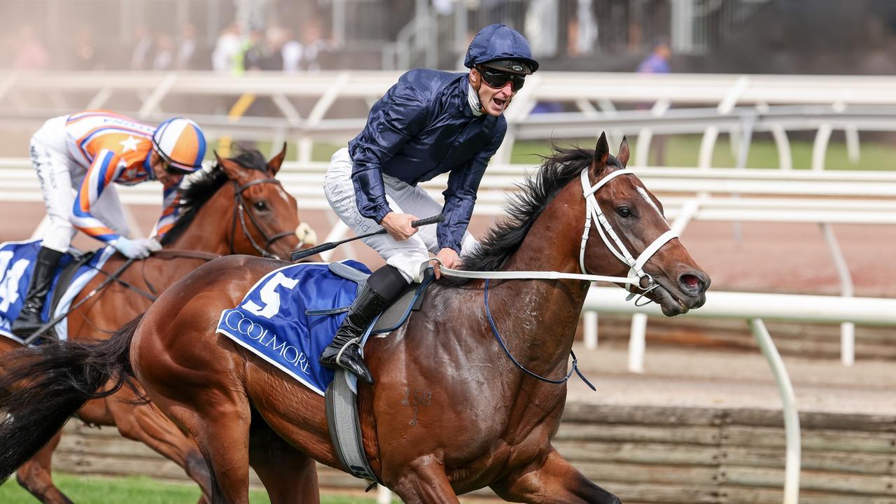 Middle draw for Switzerland in Black Caviar Lightning