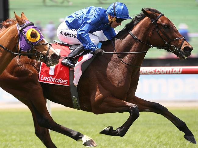 Qewy wins the Sandown Cup last year. Picture: Wayne Ludbey