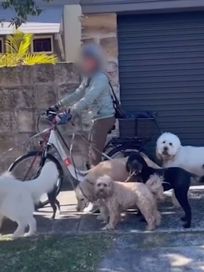 She said it was “illegal” to have so many dogs. Picture: Facebook