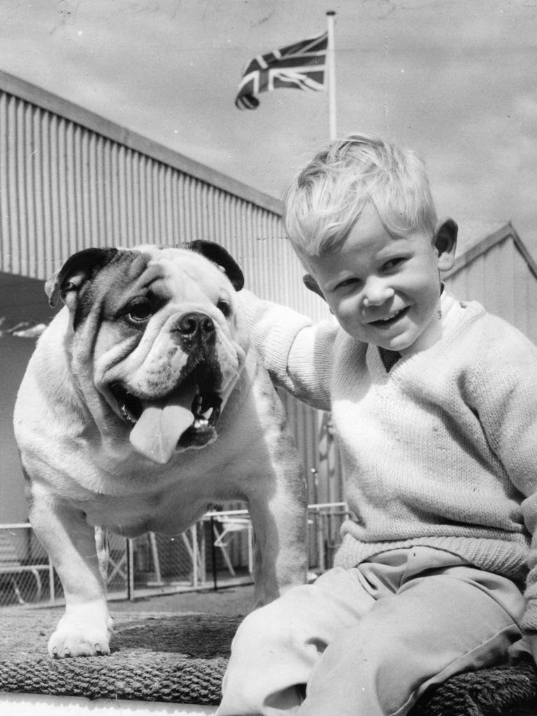 Gallery: A history of the Royal Adelaide show in pictures | The Advertiser