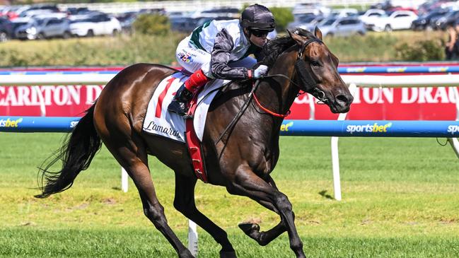 Mr Brightside has drawn barrier 11 for Saturday’s $3.6m All-Star Mile at Caulfield. Picture: Racing Photos via Getty Images.