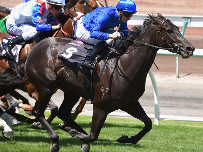 Estaminet wins the Auckland Racing Club Trophy at Flemington on February 20. Picture: Getty Images