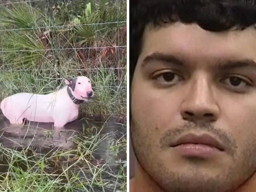 Giovanny Aldama Garcia (right) was arrested Monday and charged with aggravated animal cruelty after leaving his dog Jumbo tied to a fence as Hurricane Milton barrelled in.