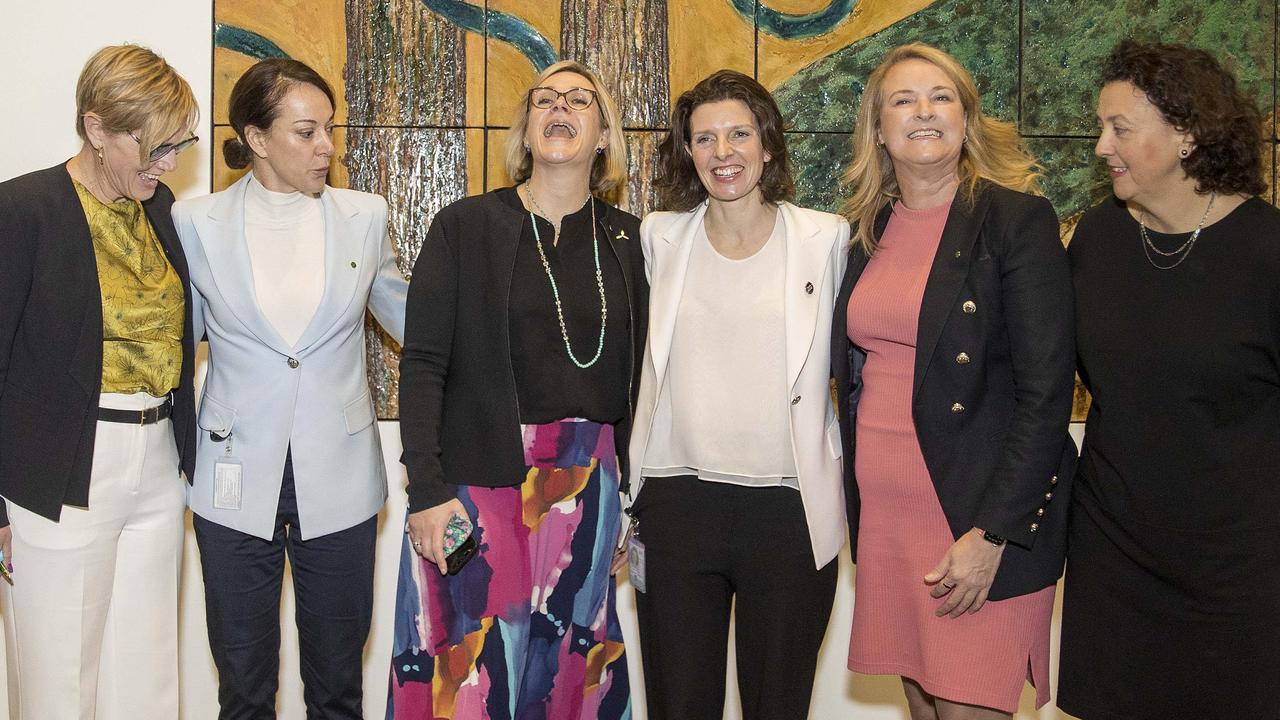 Zoe Daniel, Sophie Scamps, Zali Steggall, Allegra Spender, Kylea Tink and Monique Ryan all hold electorates once considered to be safe Liberal seats. Picture: NCA NewsWire