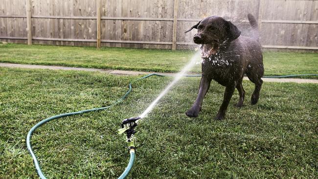 There is a sprinkler or hose attachment for just about every situation.