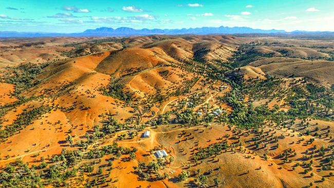 Skytrek Willow Springs station in the Flinders Ranges.