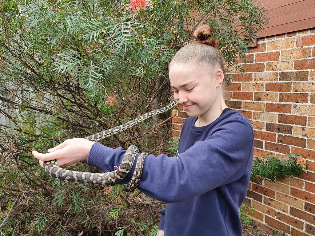 Amy with her python Geronimo. Picture: Supplied