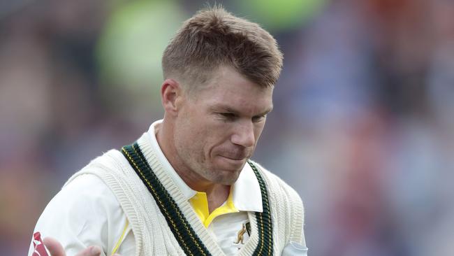 David Warner had a tough Ashes series. Picture: AP Photo/Jon Super.