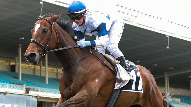 Miami Bound escaped a Melbourne Cup weight penalty for her win in Saturday’s Group 2 Moonee Valley Gold Cup. Picture: Racing Photos/Getty Images