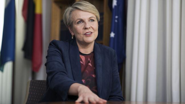 Environment Minister Tanya Plibersek. Picture: NewsWire / Gary Ramage