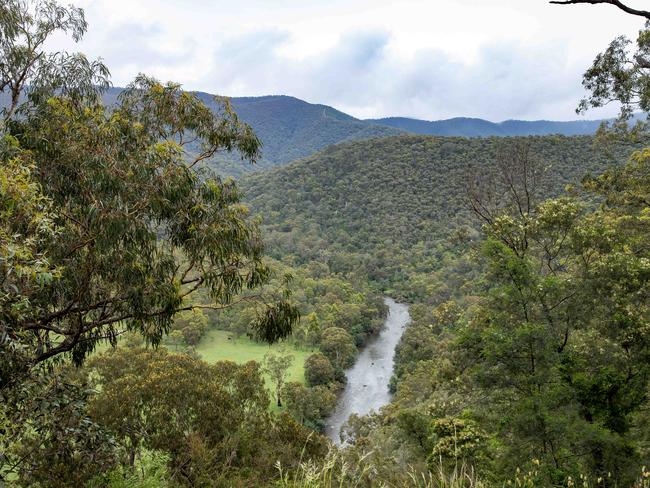 Police allege Greg Lynn fled with the campers’ bodies in his trailer. Picture: Jason Edwards