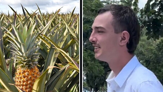 Caleb Mead, 20, pictured, told the court he had been working on the Maxwells’ farm when the incident happened on August 1, 2022, when he was picking pineapples with other workers.