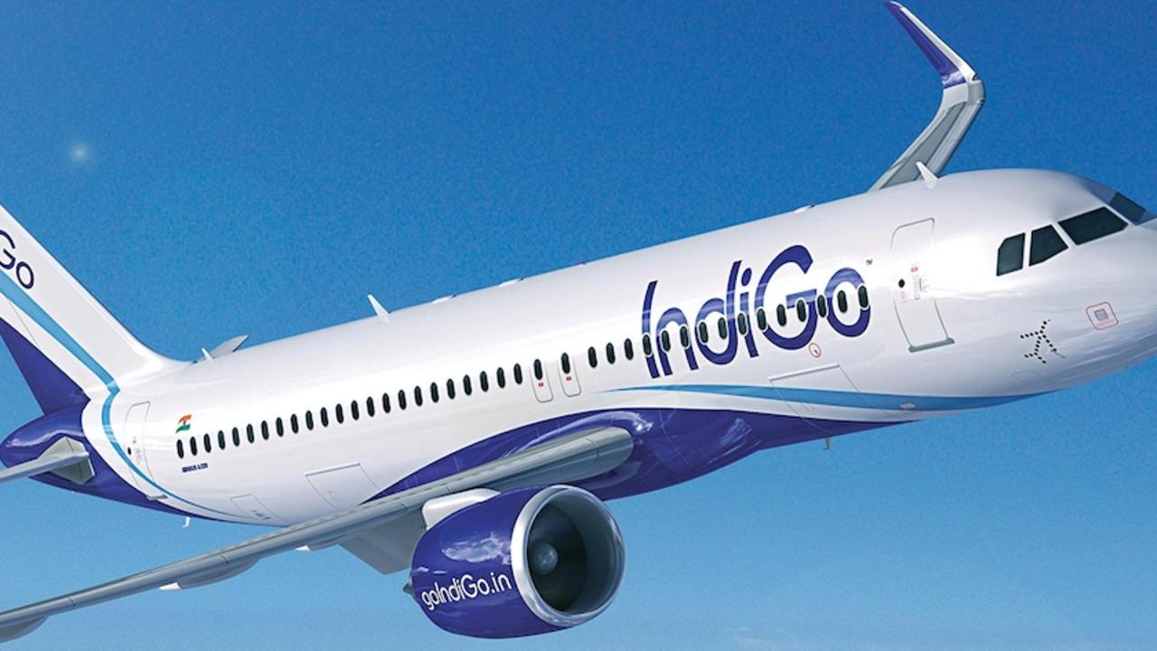 Virgin Australia could become IndiGo Australia if an Indian group looking at Virgin takes control.