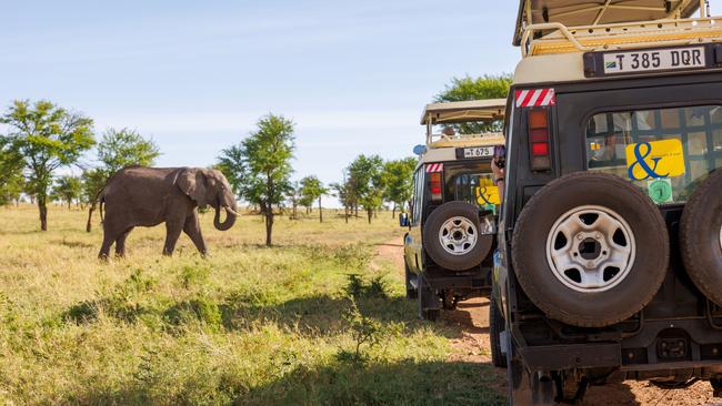 Game drive, Sanctuary Olonana.