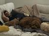 Cleary ends Euro holiday with Mary to begin rehab on the couch