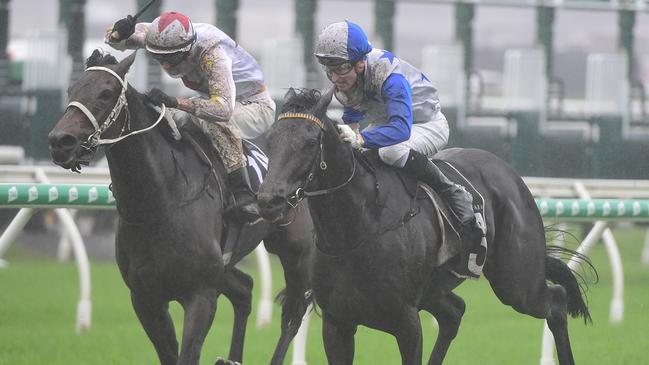 Dark Destroyer (outside) digs deep to win the Group 2 Rough Habit Plate at Eagle Farm. Picture: Grant Peters-Trackside Photography