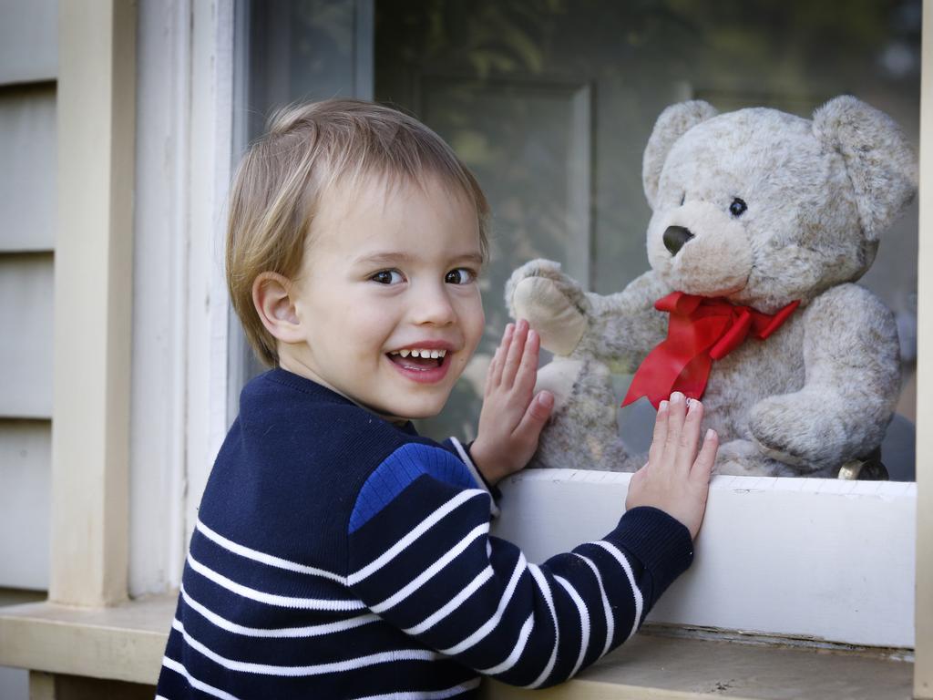 Teddy Bear hunt. People are putting bears in windows and creating teddy bear hunts to entertain kids. Teddy meet Teddy! Three year old Teddy looks into a house window at the Teddy sitting inside.      Picture: David Caird