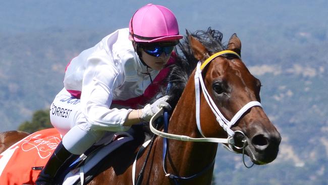 The death of Caitlin Forrest (pictured on Debeersonus, her first metropolitan winner) and Carly-Mae Pye this week has sparked renewed calls for better safety. Picture: Gary Irvine (Magic Millions)