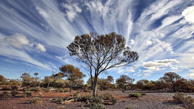 Working in magnetite mines around Western Australia can be dull at times, but not when wispy formations known as cirrus clouds appear in the sky. Picture: Casper Smit.