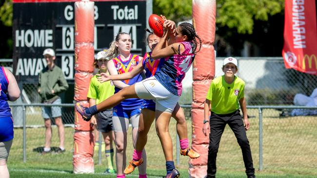 Grand final action will be livestreamed from Yeronga this weekend/ (AAP Image/Richard Walker)