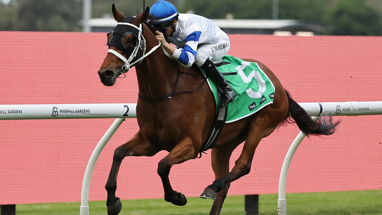 Sydney stayer Kandavar is a great chance of making it back to back wins when he competes at Caulfield on Saturday. Picture: Getty Images