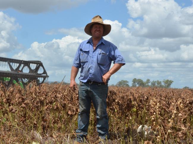 Mondure crop farmer in court on string of serious charges