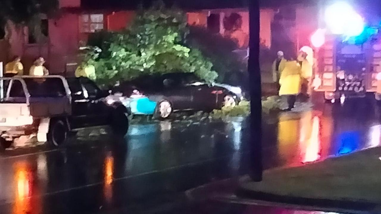 Roger Buckely shared this frightening image of a car hit by a tree.