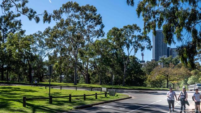 Parramatta Park is a much-loved recreation reserve. Picture: Monique Harmer