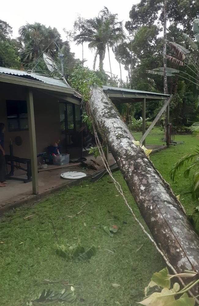 A large palm tree crashed through the roof of Craig Barelds' Bellenden Ker house just above his son's bedroom. Picture: Craig Barelds