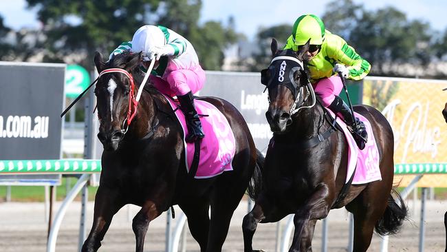 Epic Girl (left) can bounce back at Eagle Farm. Picture: Trackside Photography