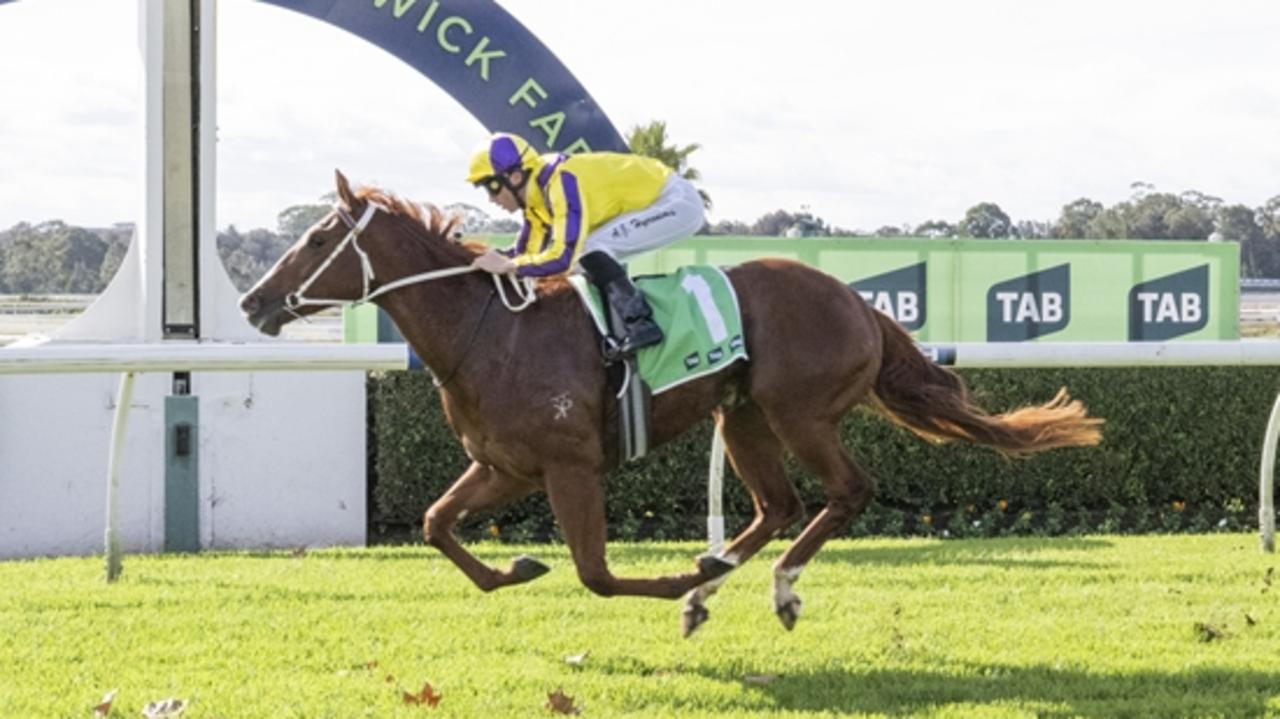 Bargain-basement buy knocks off $3m filly