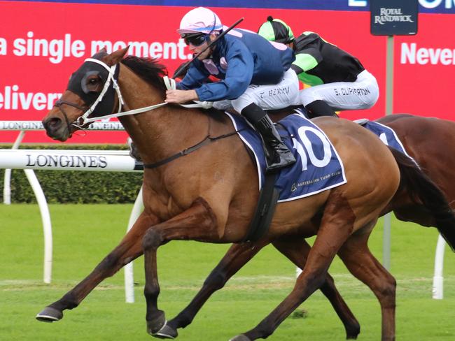 Ron Dufficy and Ray Thomas are both keen on the Chris Waller-trained No Compromise. Picture: Grant Guy