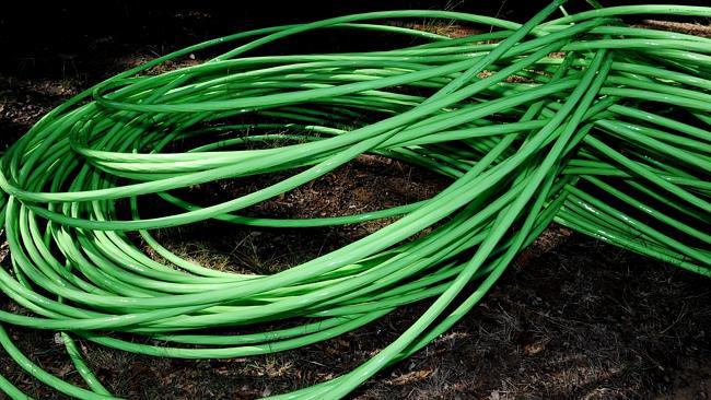 NBN Fibre Optic Cable Laid in Windsor
