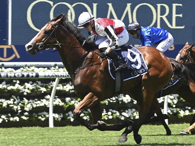 Shayne O'Cass thinks Cafe Millenium, pictured winning the Pierro Plate at Randwick last year, can bring punters home a winner on Saturday. Picture: Bradley Photos