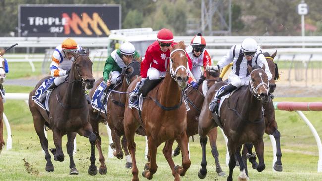 Kayla Crowther drives Instant Celebrity to victory. Picture: Atkins Photography