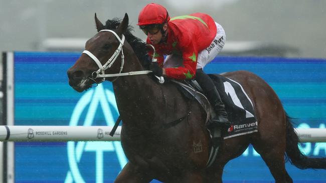 Emirate will be Chris Waller’s only Golden Rose runner. Picture: Jeremy Ng/Getty Images