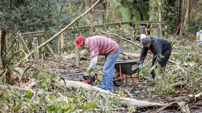 The clean up on Mt Dandenong continues. Picture: NCA NewsWire / Wayne Taylor