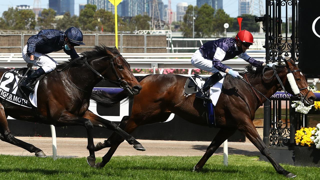 MELBOURNE, AUSTRALIA - NOVEMBER 03: Jye Mcneil riding Twilight Payment wins race 7, the Lexus Melbourne Cup ahead of Kerrin Mcevoy riding #21 Tiger Moth during 2020 Lexus Melbourne Cup Day at Flemington Racecourse on November 03, 2020 in Melbourne, Australia. (Photo by Robert Cianflone/Getty Images for the VRC)