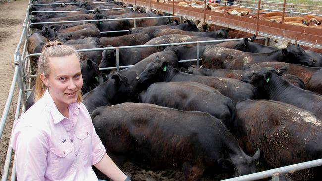 Alex Ferguson, Liddle Homestead at Murmungee, with the family's feature line of steers. Picture: Jenny Kelly