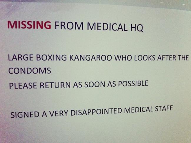 The kangaroo was missed. Picture: Melanie Wright