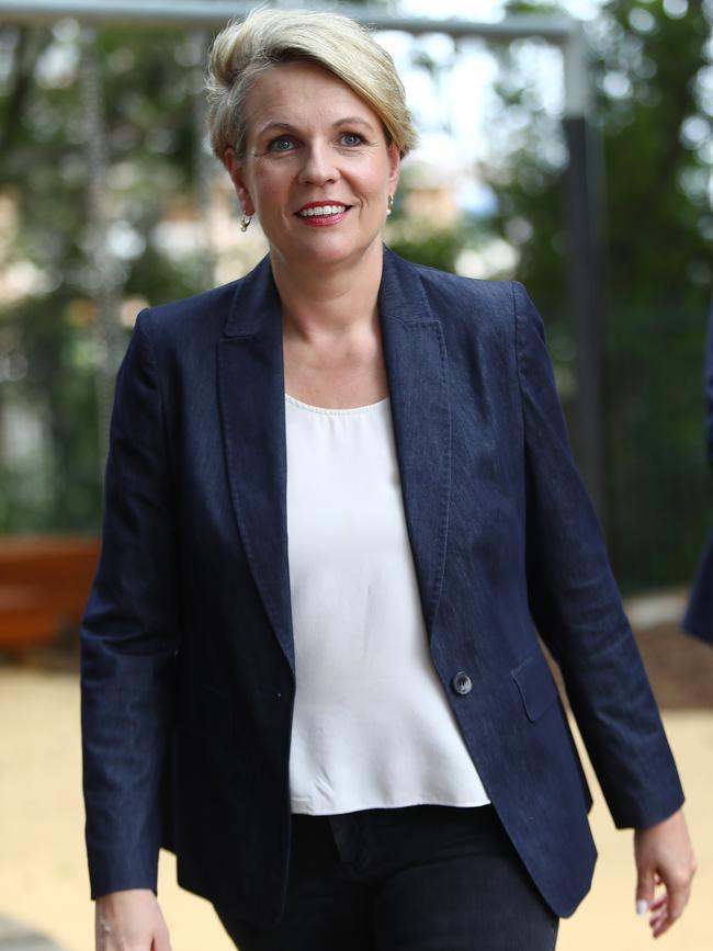 Acting Opposition Leader Tanya Plibersek. Picture: Hollie Adams