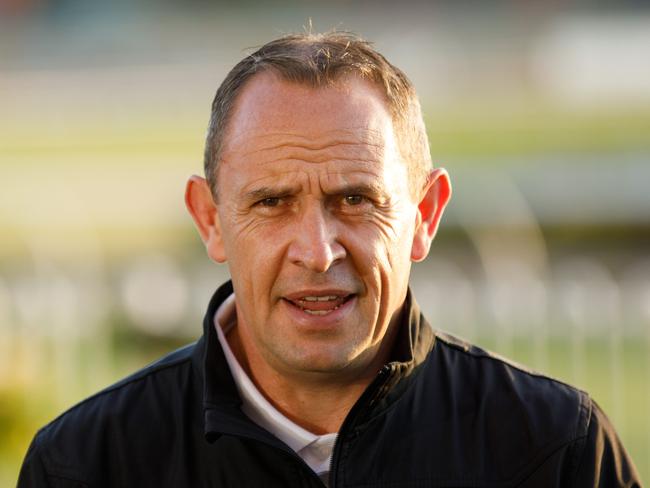 DAILY TELEGRAPH. SPORT. Horse racing - Track work. Champion trainer Chris Waller had some of his top runners for the upcoming Golden Eagle race at Rosehill Gardens on track this morning. Picture shows Chris Waller at a press conference after watching the track work. Thursday 02/11/2023. Picture by Max Mason-Hubers