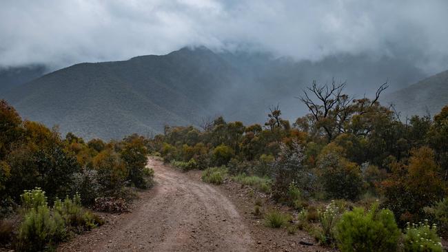 Poor weather has hindered search efforts. Picture: Jason Edwards