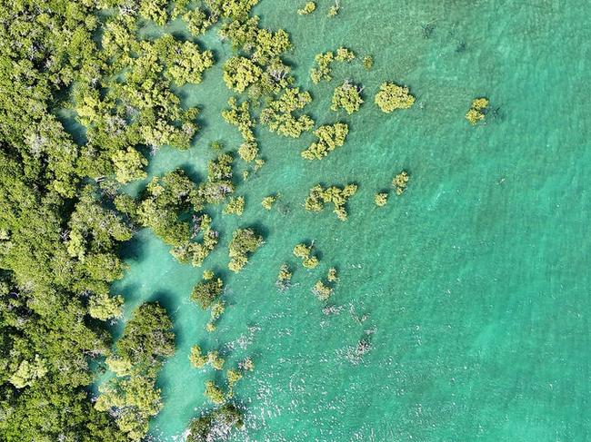 The island boasts pristine fishing conditions with secluded estuaries. Photo: Contributed