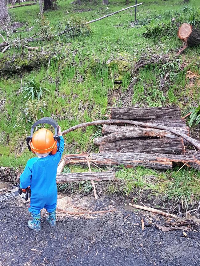 Jock checking the road is clear after a tree fell.