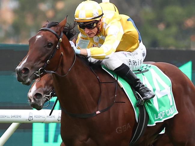 SYDNEY, AUSTRALIA - MARCH 23: Blake Shinn riding  Lady Of Camelot wins Race 8 Golden Slipper during the Golden Slipper Day - Sydney Racing at Rosehill Gardens on March 23, 2024 in Sydney, Australia. (Photo by Jeremy Ng/Getty Images)