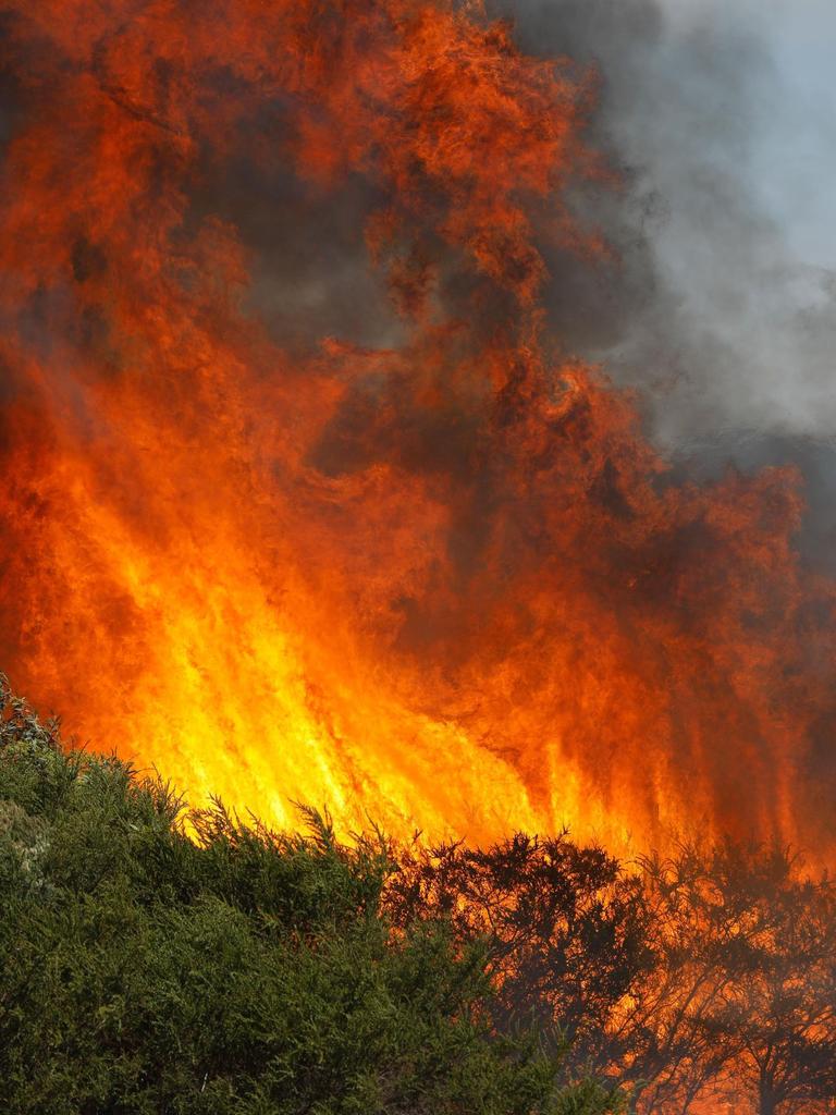 Huge flames as scrub around Port Lincoln goes up. Picture: Robert Lang