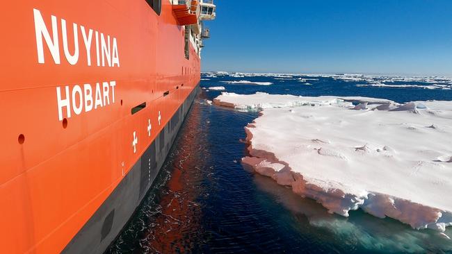 RSV Nuyina nears Davis research station on its first voyage to Antarctica. Picture: Pete Harmsen/AAD